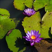 by drewsweet, Views[187]