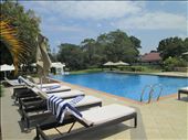 Pool at Mt Meru hotel : by drfrenchie, Views[194]