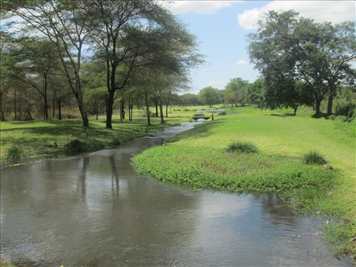 Kilimanjaro Golf Club - hard to believe I'm even in Africa