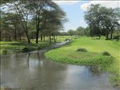 Kilimanjaro Golf Club - hard to believe I'm even in Africa: by drfrenchie, Views[243]