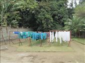 How they dry their laundry : by drfrenchie, Views[213]