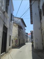 by drfrenchie, Views[151]