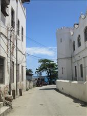 by drfrenchie, Views[138]