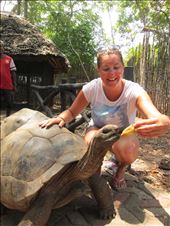 by drfrenchie, Views[105]