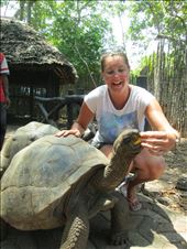 by drfrenchie, Views[138]