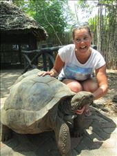 by drfrenchie, Views[130]