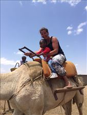 by drfrenchie, Views[177]