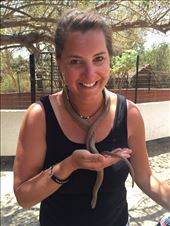 by drfrenchie, Views[203]