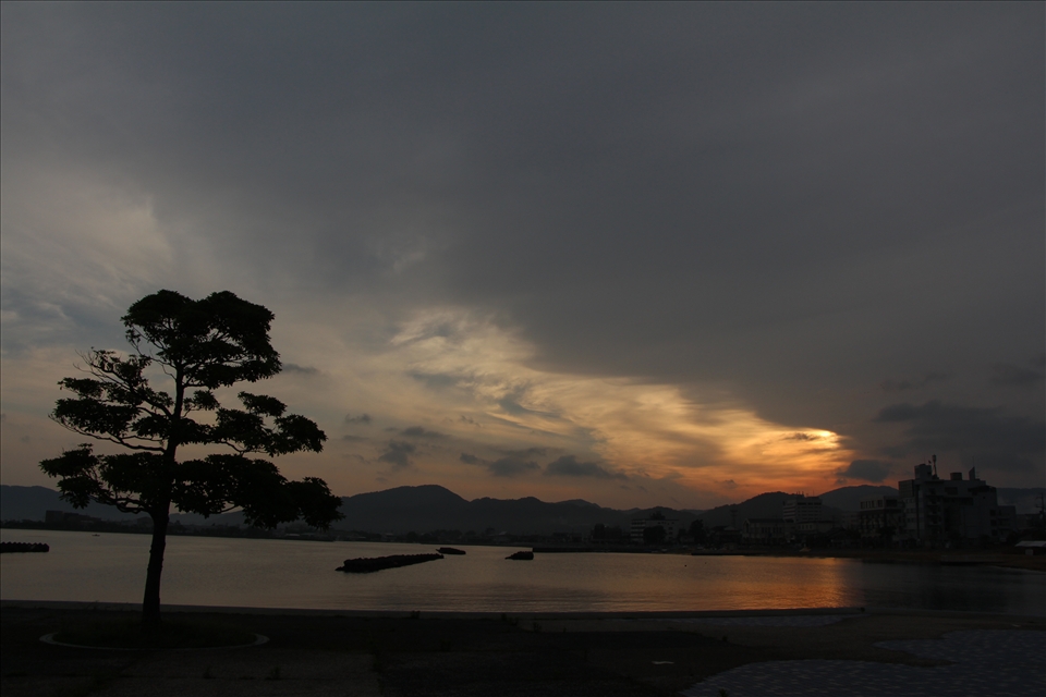 to the cutting dawn mist