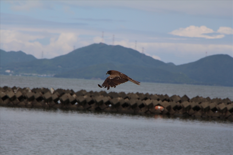 that make us fly free.