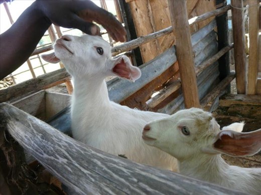 My new friends, Nairobi Kenya