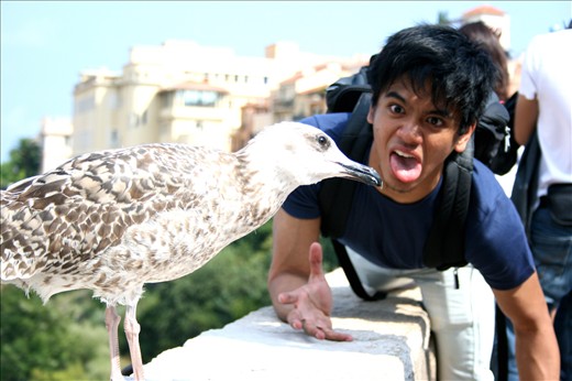 My first visit to France was with friends 2 years ago. Good morning to the bird!