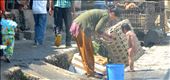 The simplist tasks are often seen in a land of poverty - but bathing in the dirty streets still does not dampen the spirit of the Nepalese people.: by dsharpe, Views[523]