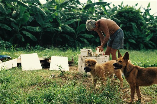 He collects and sells rubbish to feed his family because his wife is too weak to work. She's currently 75 years old and he's in his 80. His income is enough to buy rice only. No protein, no vegetable, no medicine, no clean water. 
