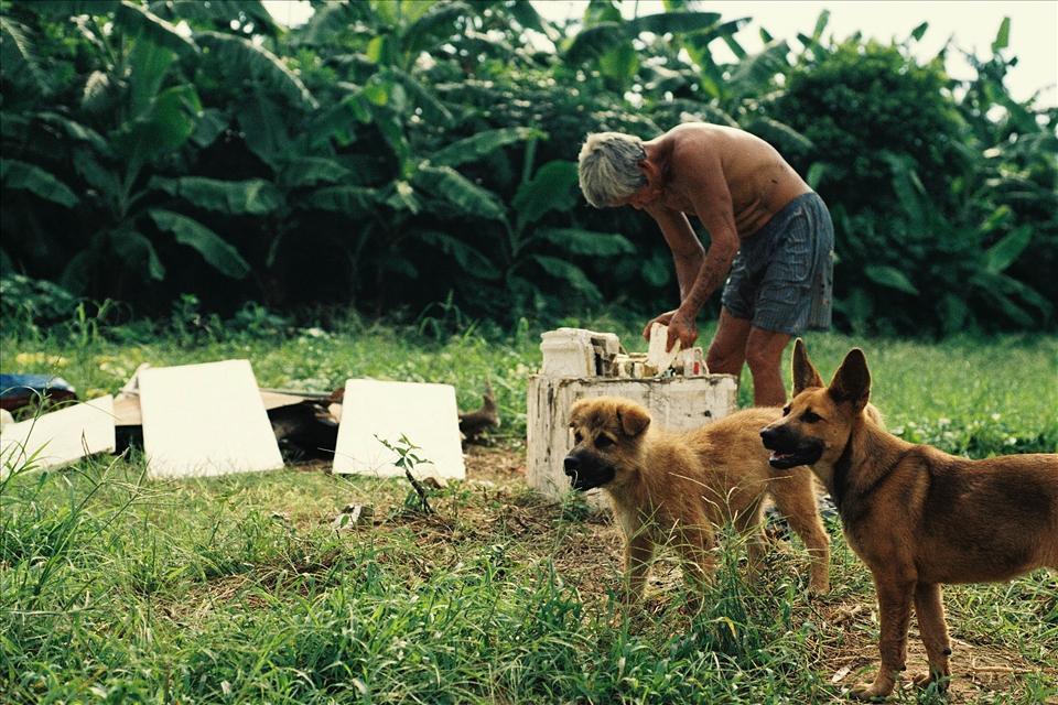 He collects and sells rubbish to feed his family because his wife is too weak to work. She's currently 75 years old and he's in his 80. His income is enough to buy rice only. No protein, no vegetable, no medicine, no clean water. 