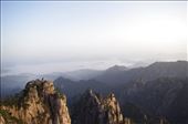 Early morning at the Monkey gazing over sea of cloud - Huangshan, China: by dumontdom, Views[274]