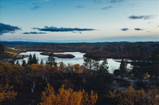 Autumn was quick. The trees were bright orange when I arrived, bare in weeks/