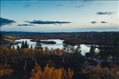 Autumn was quick. The trees were bright orange when I arrived, bare in weeks/: by dunctk, Views[317]