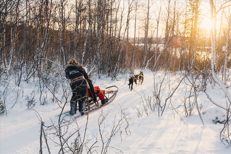 Training the dogs. The sun didn't rise any higher that day. Now it doesn't rise.