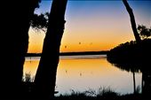 Symphonic lake... dusk brings a dance...: by duskdevi, Views[195]