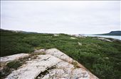 Search for Graves of Murdered RCMP officer & Otto Binder : by dylanmcarthur, Views[344]