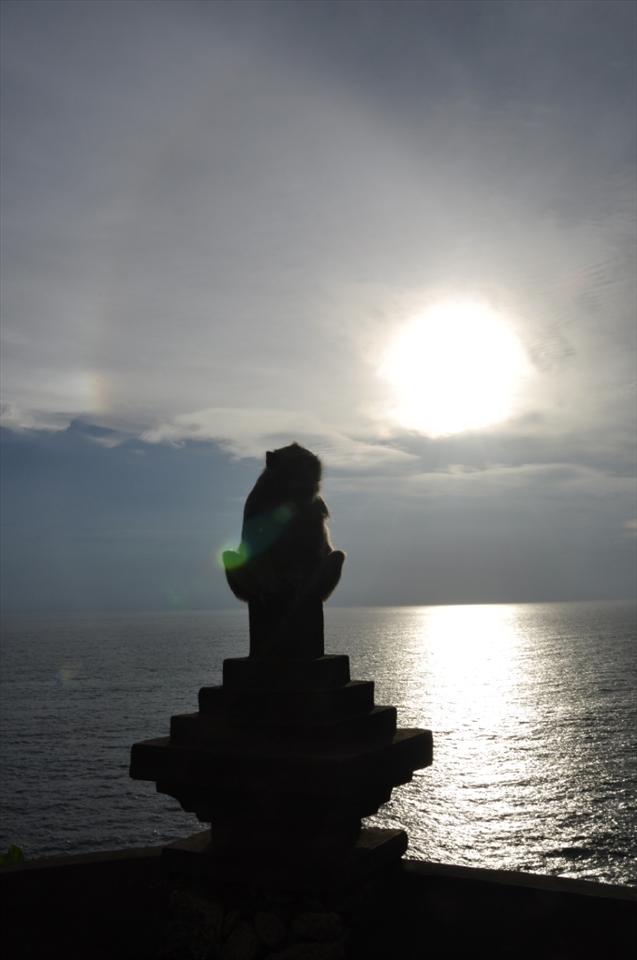 monkeys are an important animal for hindunese people,they're representative for  