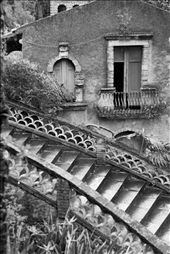 The gardens:  A quiet scene on a rainy day in the public gardens of Taormina, Sicily (April, 2011, taken with B&W film on my Pentax K1000).: by e_torretto, Views[587]