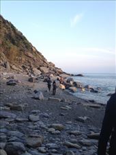 by ecehanbesteyucel, Views[206]