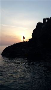 by ecehanbesteyucel, Views[939]