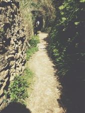 by ecehanbesteyucel, Views[179]