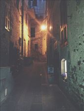 by ecehanbesteyucel, Views[173]