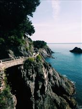 by ecehanbesteyucel, Views[157]