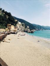 by ecehanbesteyucel, Views[198]