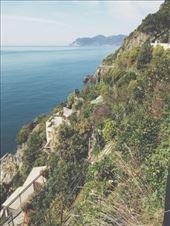 by ecehanbesteyucel, Views[205]