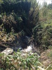 by ecehanbesteyucel, Views[317]