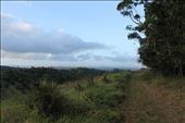 A rural property is a life saver for our environment: by ecomatt91, Views[255]