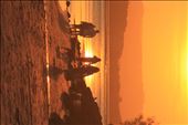 Sunrise and sunsets display beauty of life: by ecomatt91, Views[323]