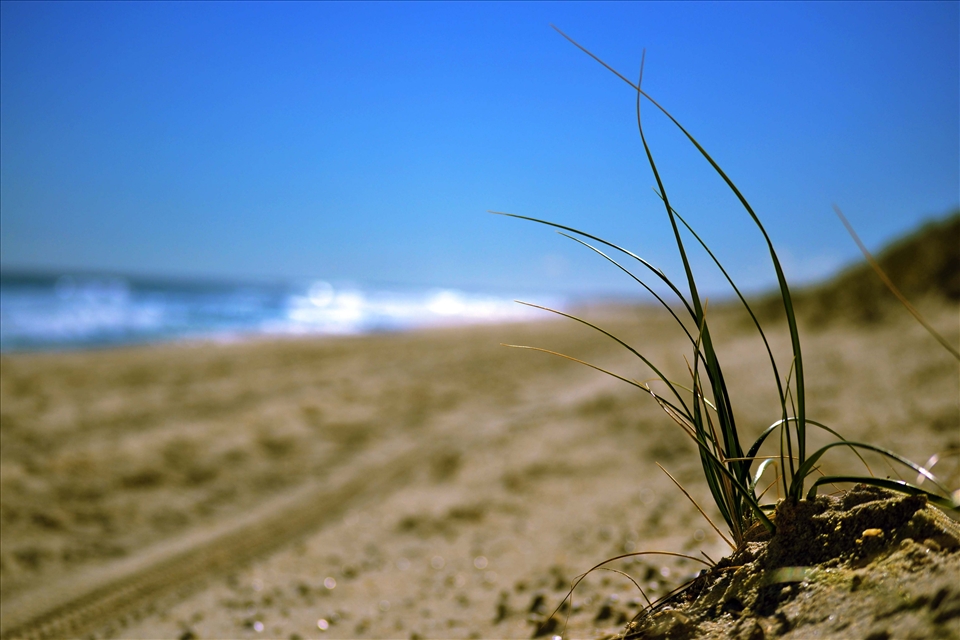 Watching the tide roll away