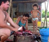 by edsonlg, Views[389]