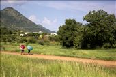 Chatting behind their bright umbrellas, two women wander home: by effyau, Views[533]