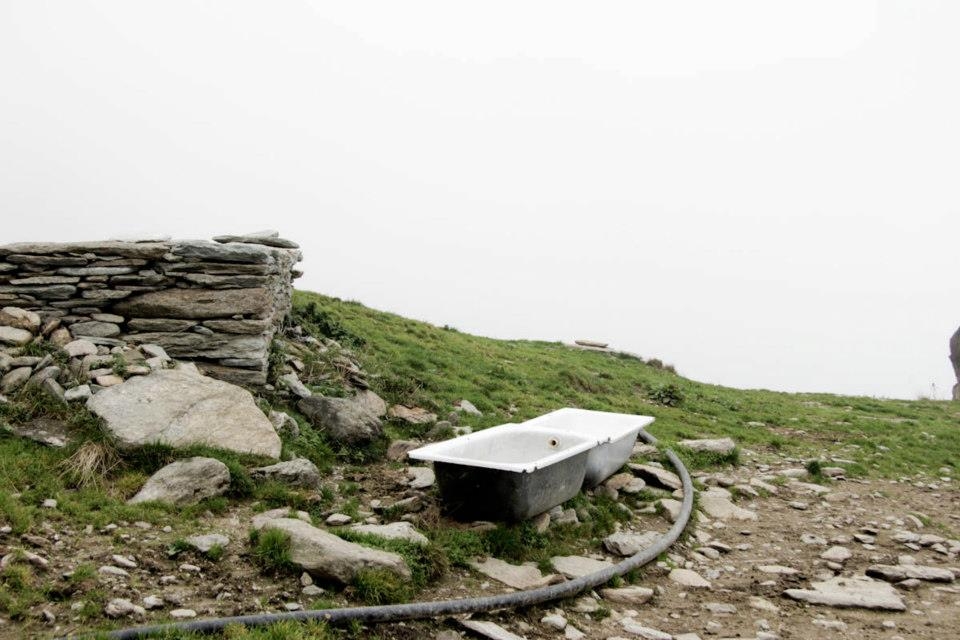 I imagined a wild world