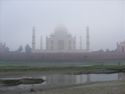 Rear Majestic - taken across the river from behind the Taj Mahal at dawn