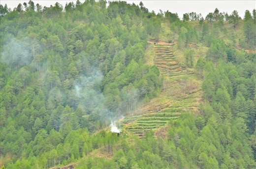 On our way to Mt Pulag, we passed several mountain ranges with patches similar to rice terraces in Benguet. In here, instead of rice planted on the mountain-side, they have vegetation of various kind.