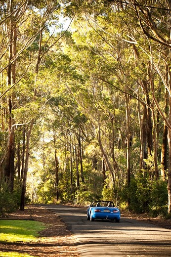 Being situated only 1.5hrs drive south of Sydney, the Kiama area is popular with tourists and day-trippers, even in winter.