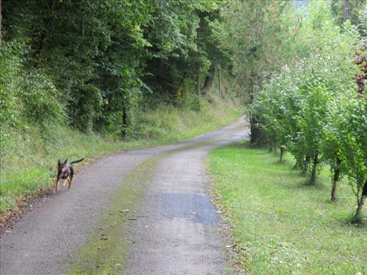 Tara running down the road in front of the Chocolate Box