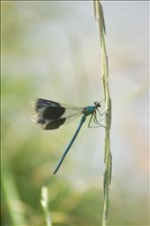 Frozen in time: by electricpixie, Views[243]