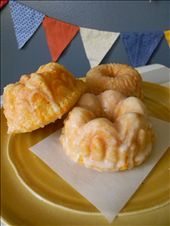 Meyer Lemon 4: by elena_valeriote, Views[1108]