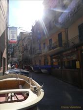 by elena_valeriote, Views[421]