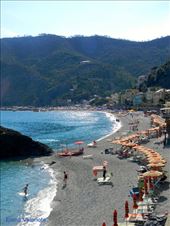 by elena_valeriote, Views[311]