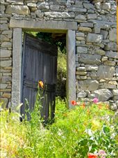 by elena_valeriote, Views[413]